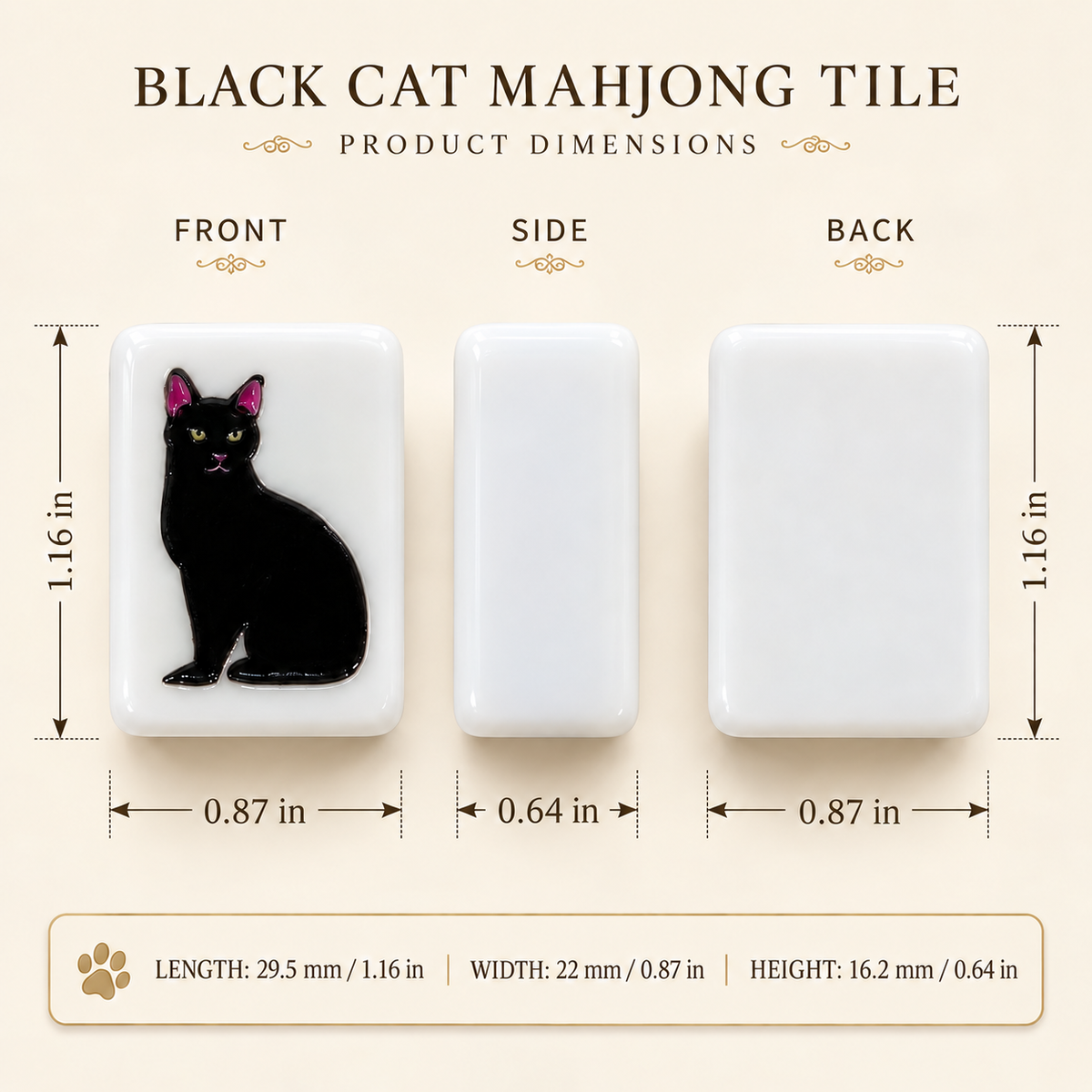 Second Chance Cats