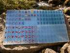 Wildlife American Mahjong Set – Translucent Blue Acrylic Nature Tiles