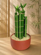 Bamboo-Inspired Mahjong Rack & Pusher Set – American Mahjong Tile Holders